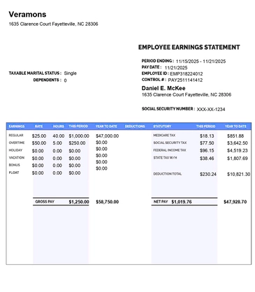 Paystub detailed mordern with Additional Compensation like overtime, holidy, vacation, bonus , float 